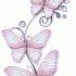 mimosa avatar